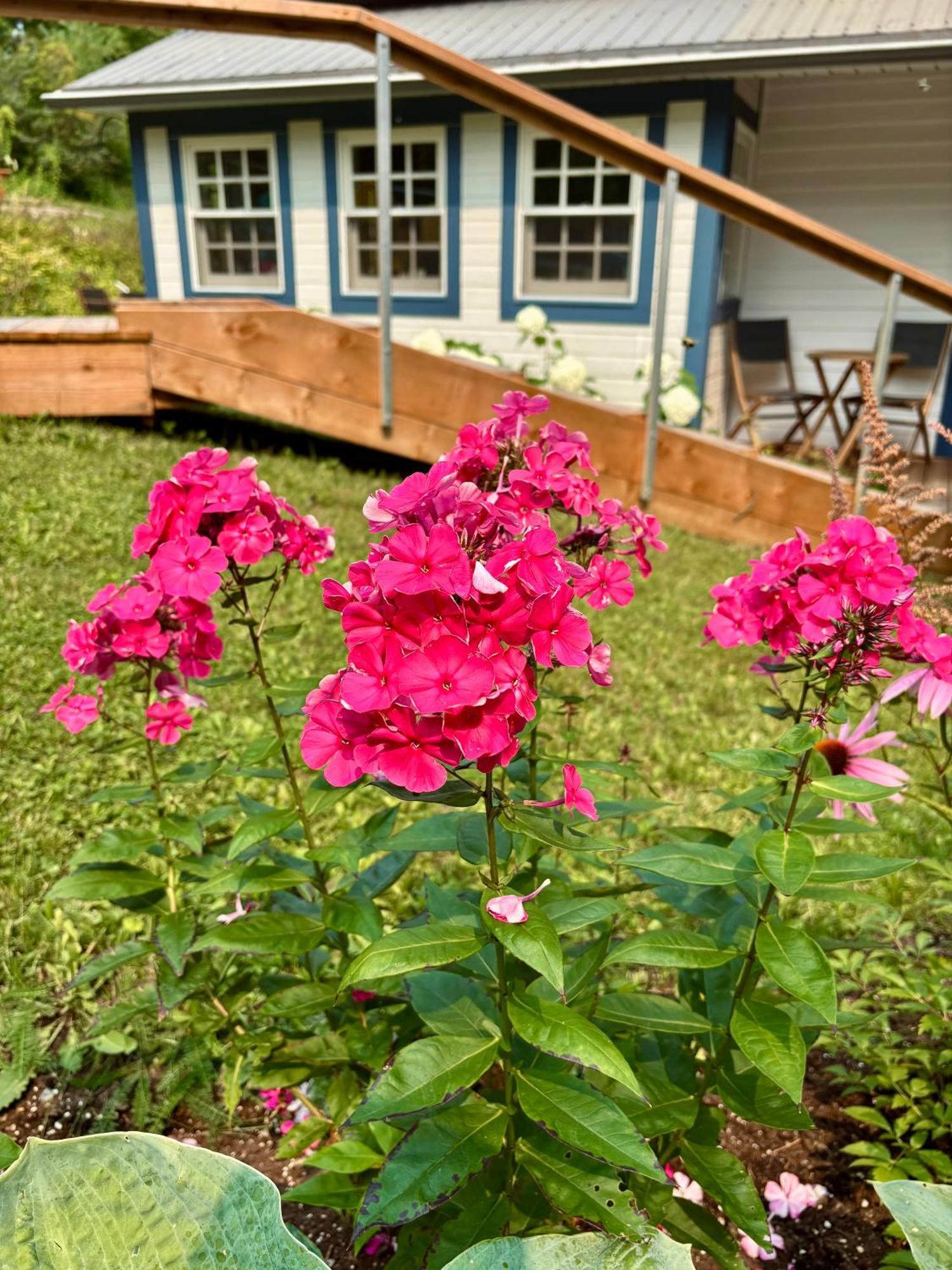 Auberge Sous Les Arbres Gaspe Exterior photo
