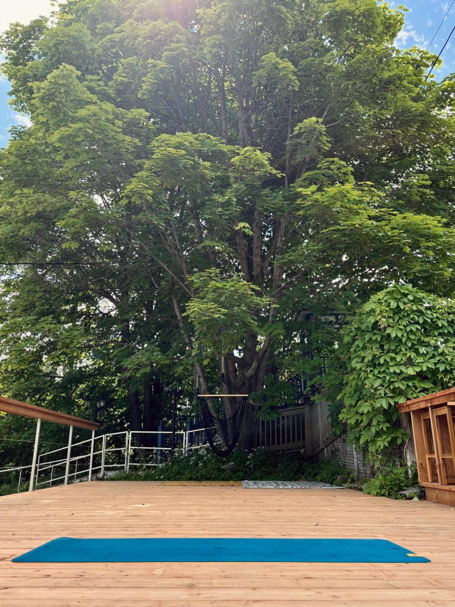 Auberge Sous Les Arbres Gaspe Exterior photo