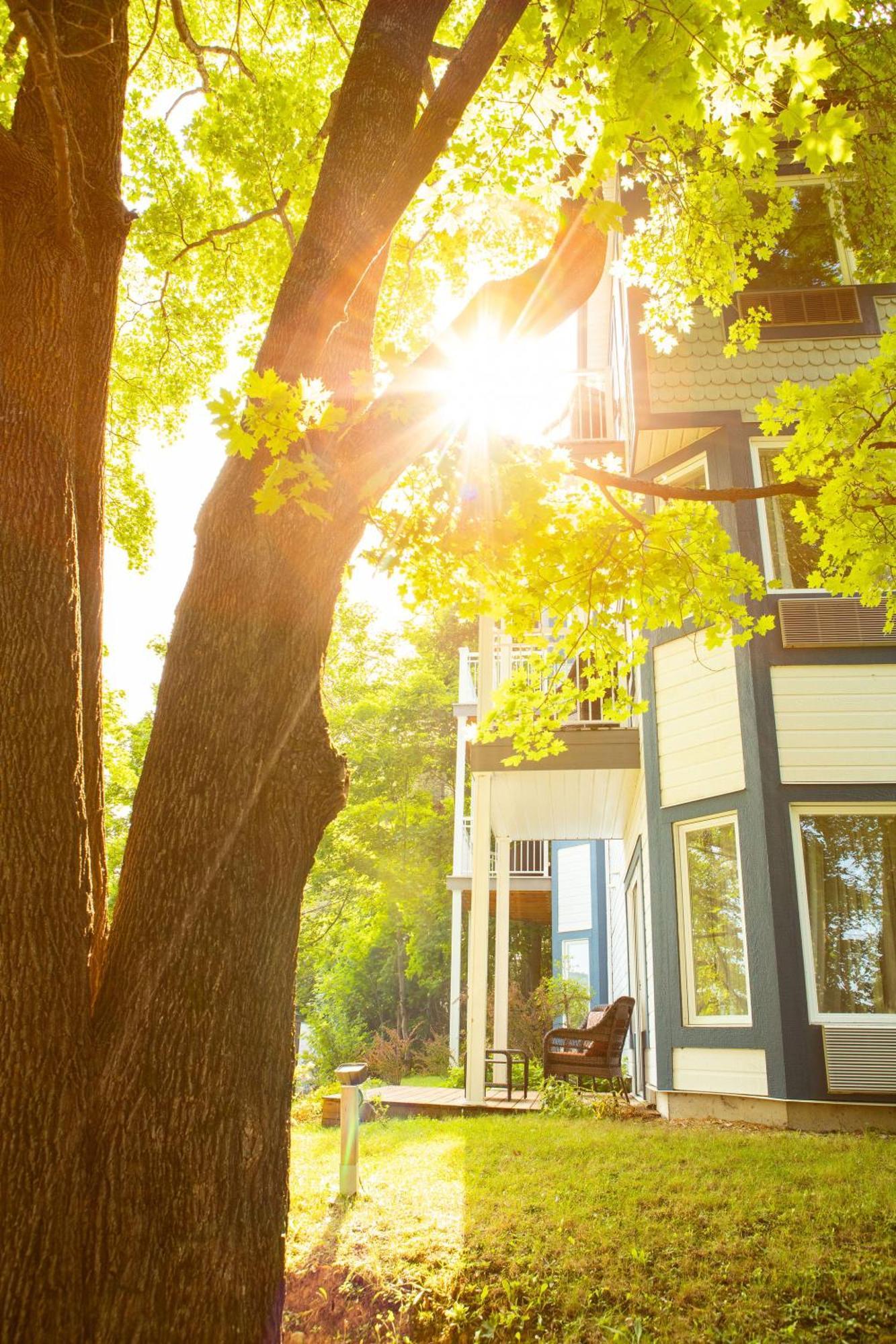 Auberge Sous Les Arbres Gaspe Exterior photo